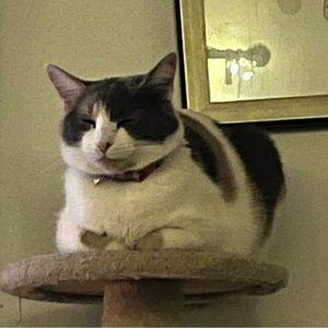 Meet your Posher, Aaralyn